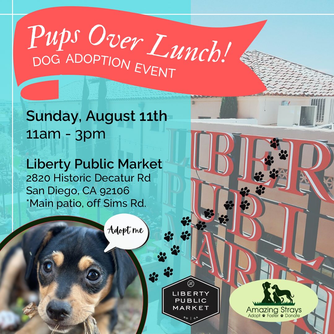 Puppy adoption orders event near me